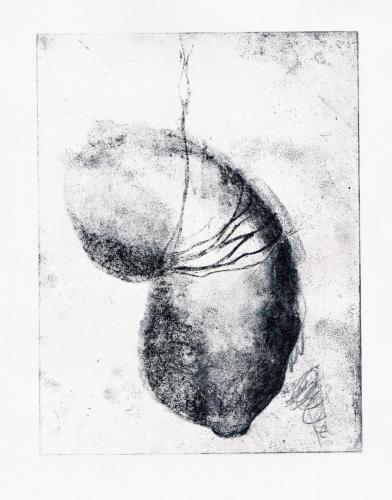 FLACID 2015ETCHING